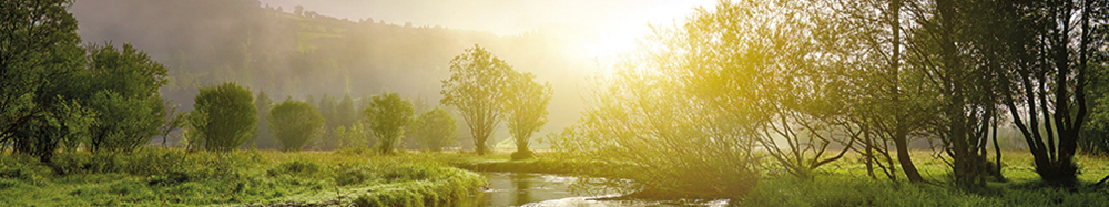 Bild mit Flusslauf, Wiese und Bäumen im Sonnenuntergang Bild mit Flusslauf, Wiese und Bäumen im Sonnenuntergang
